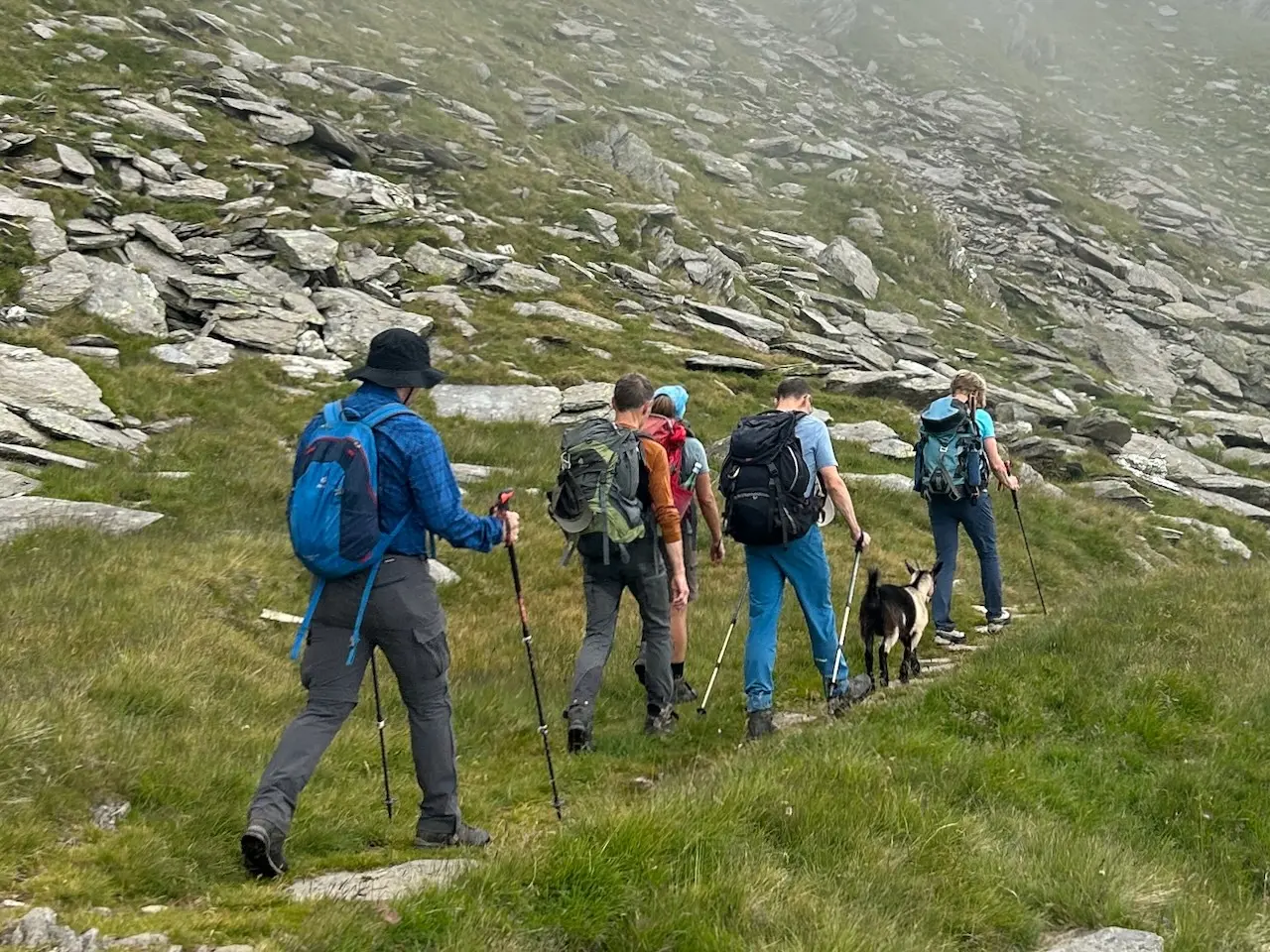 Wandern mit Ziege | © Oliver Heil